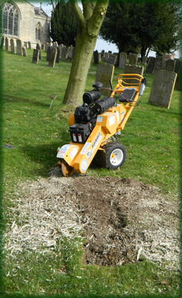 Stump grinder